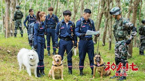 神犬小七3季的演员表